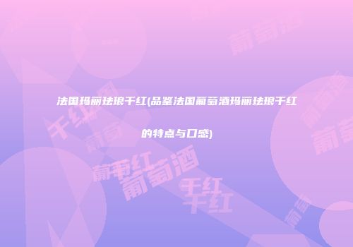法国玛丽珐琅干红(品鉴法国葡萄酒玛丽珐琅干红的特点与口感)