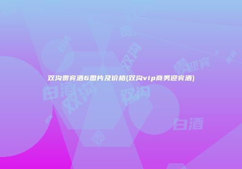 双沟贵宾酒6图片及价格(双沟vip商务迎宾酒)
