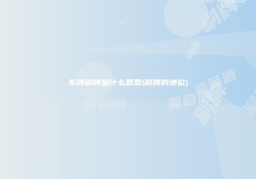 车牌副牌是什么意思(副牌的地位)