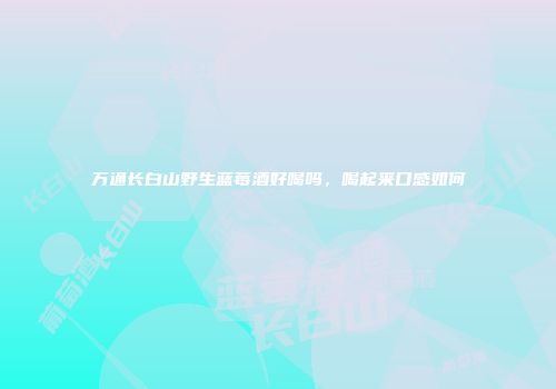 万通长白山野生蓝莓酒好喝吗，喝起来口感如何