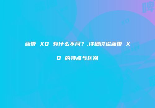 蓝带 XO 有什么不同？,详细讨论蓝带 XO 的特点与区别