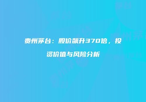 贵州茅台：股价飙升370倍，投资价值与风险分析