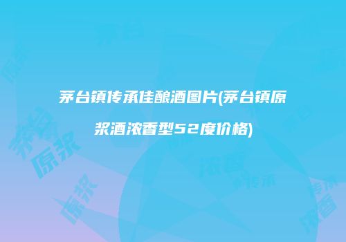 茅台镇传承佳酿酒图片(茅台镇原浆酒浓香型52度价格)