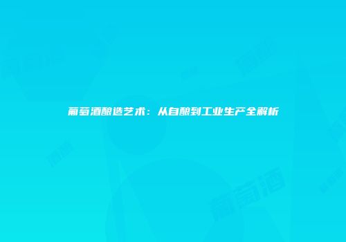 葡萄酒酿造艺术：从自酿到工业生产全解析