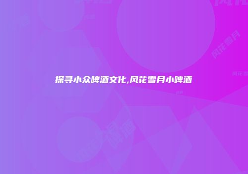 探寻小众啤酒文化,风花雪月小啤酒