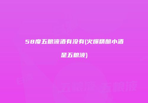 58度五粮液酒有没有(火爆精酿小酒是五粮液)
