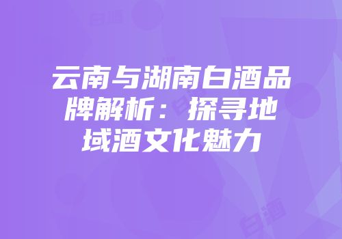 云南与湖南白酒品牌解析：探寻地域酒文化魅力