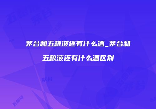 茅台和五粮液还有什么酒_茅台和五粮液还有什么酒区别