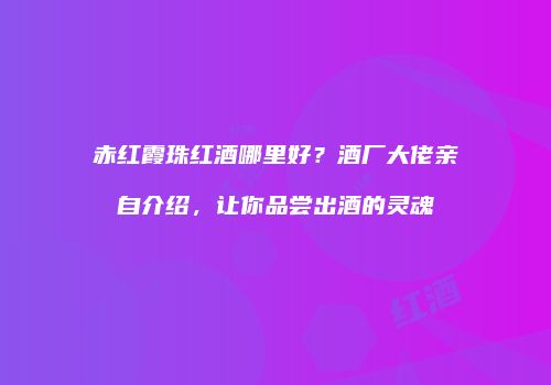 赤红霞珠红酒哪里好？酒厂大佬亲自介绍，让你品尝出酒的灵魂