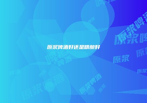 原浆啤酒好还是精酿好