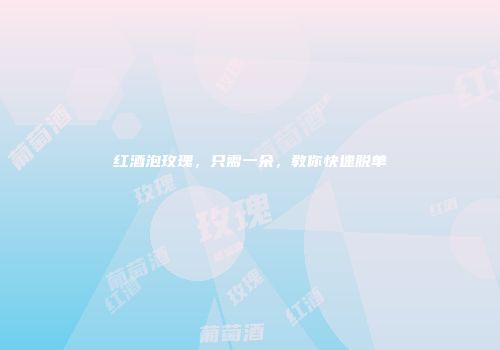 红酒泡玫瑰，只需一朵，教你快速脱单