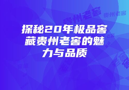 探秘20年极品窖藏贵州老窖的魅力与品质