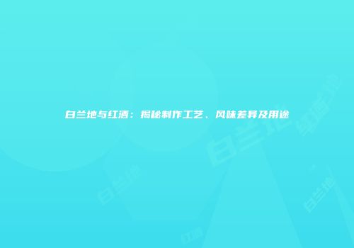 白兰地与红酒：揭秘制作工艺、风味差异及用途