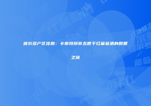 波尔多产区佳酿：卡斯特班帝五世干红葡萄酒的醇香之旅