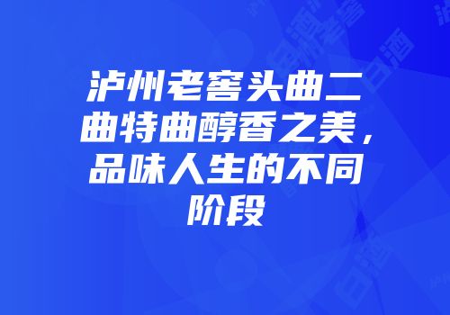 泸州老窖头曲二曲特曲醇香之美，品味人生的不同阶段