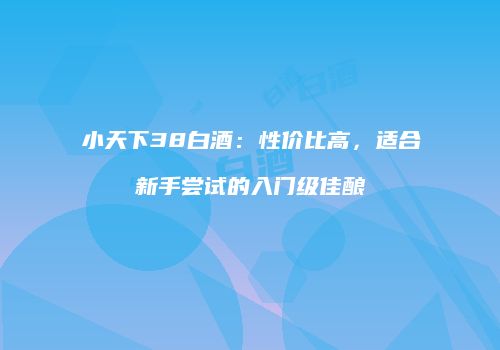 小天下38白酒：性价比高，适合新手尝试的入门级佳酿