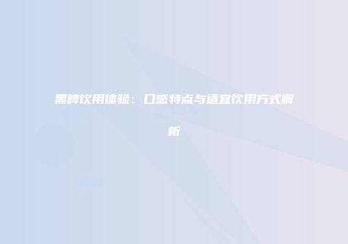 黑啤饮用体验：口感特点与适宜饮用方式解析