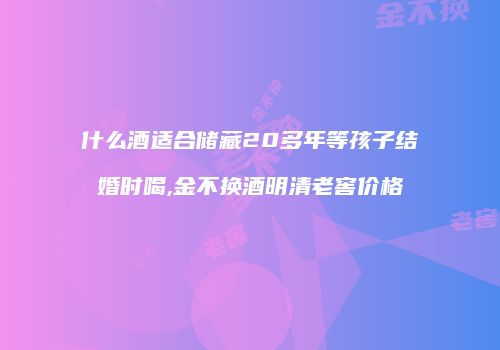 什么酒适合储藏20多年等孩子结婚时喝,金不换酒明清老窖价格
