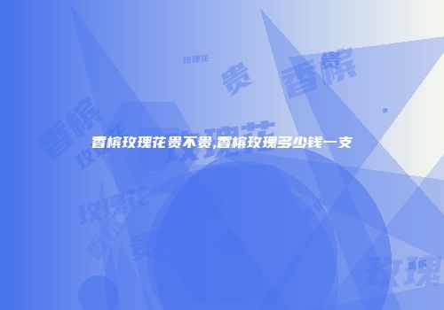 香槟玫瑰花贵不贵,香槟玫瑰多少钱一支