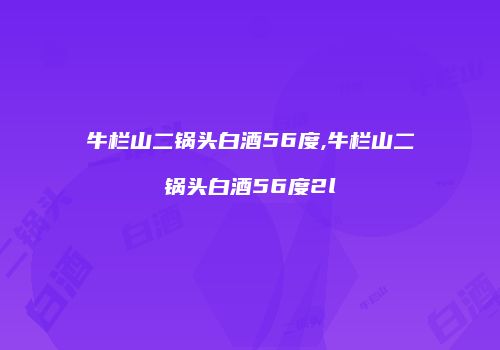 牛栏山二锅头白酒56度,牛栏山二锅头白酒56度2l