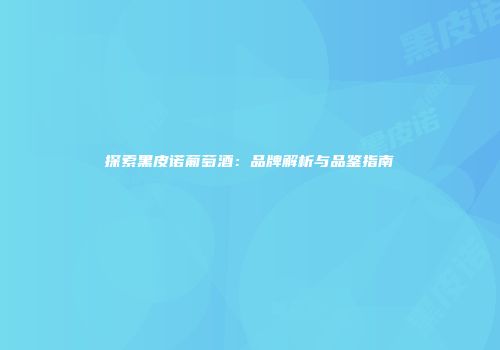 探索黑皮诺葡萄酒：品牌解析与品鉴指南