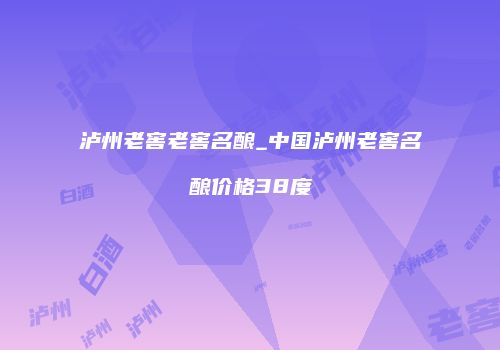 泸州老窖老窖名酿_中国泸州老窖名酿价格38度