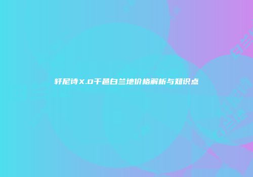 轩尼诗X.O干邑白兰地价格解析与知识点