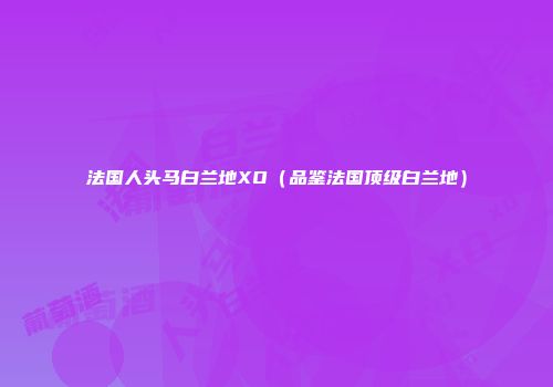 法国人头马白兰地XO（品鉴法国顶级白兰地）