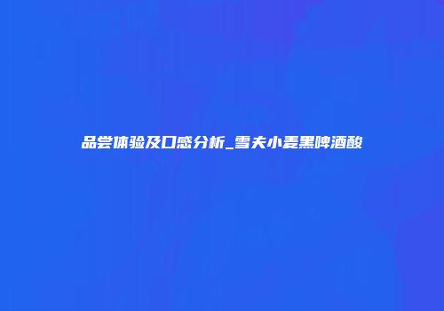 品尝体验及口感分析_雪夫小麦黑啤酒酸