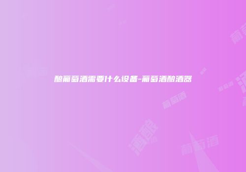 酿葡萄酒需要什么设备-葡萄酒酿酒器