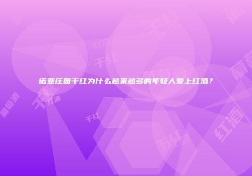 诺亚庄园干红为什么越来越多的年轻人爱上红酒？