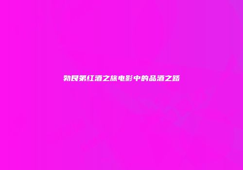 勃艮第红酒之旅电影中的品酒之路