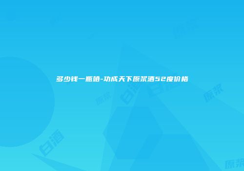 多少钱一瓶哈-功成天下原浆酒52度价格