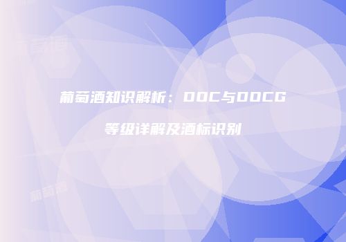 葡萄酒知识解析：DOC与DOCG等级详解及酒标识别