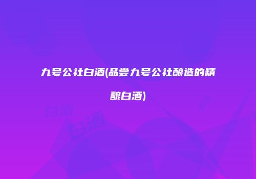 九号公社白酒(品尝九号公社酿造的精酿白酒)