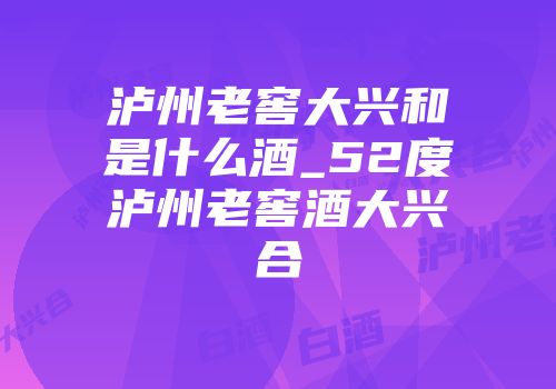 泸州老窖大兴和是什么酒_52度泸州老窖酒大兴合