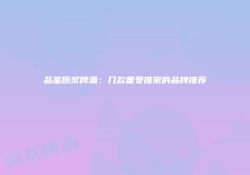 品鉴原浆啤酒：几款备受推崇的品牌推荐
