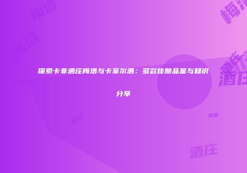 探索卡非酒庄梅洛与卡菲尔酒：多款佳酿品鉴与知识分享