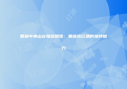 智利中央山谷璀璨明珠：奥塔苏红酒的独特魅力