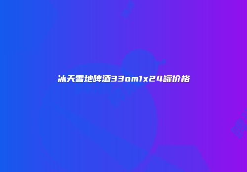 冰天雪地啤酒33om1x24罐价格