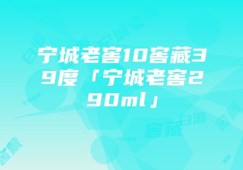 宁城老窖10窖藏39度「宁城老窖290ml」