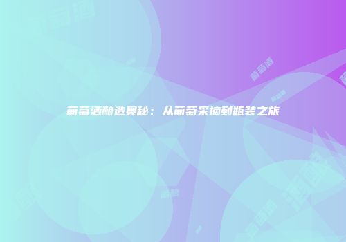 葡萄酒酿造奥秘：从葡萄采摘到瓶装之旅