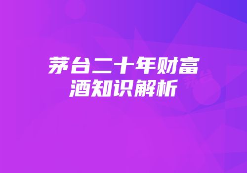 茅台二十年财富酒知识解析