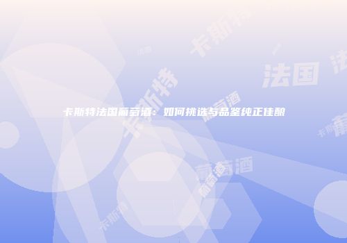 卡斯特法国葡萄酒：如何挑选与品鉴纯正佳酿