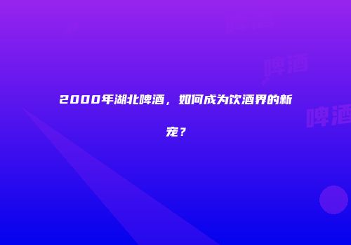 2000年湖北啤酒，如何成为饮酒界的新宠？