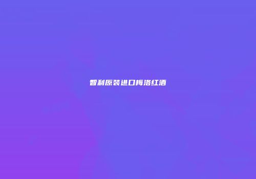 智利原装进口梅洛红酒
