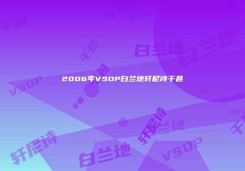 2006年VSOP白兰地轩尼诗干邑