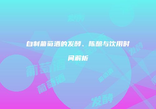 自制葡萄酒的发酵、陈酿与饮用时间解析
