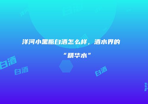洋河小黑瓶白酒怎么样，酒水界的“精华水”