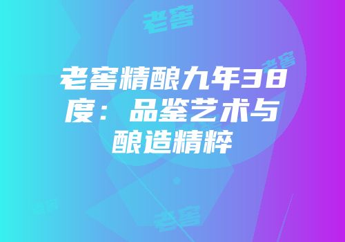 老窖精酿九年38度：品鉴艺术与酿造精粹